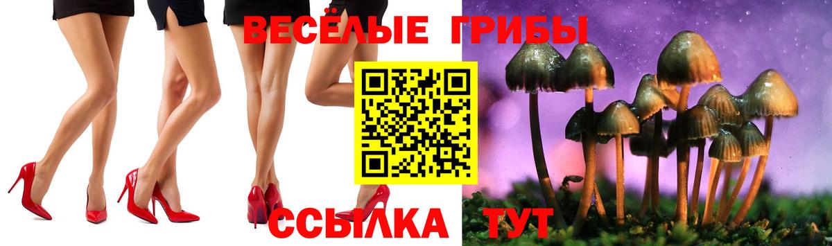 Галлюциногенные грибы мухоморы Алейск